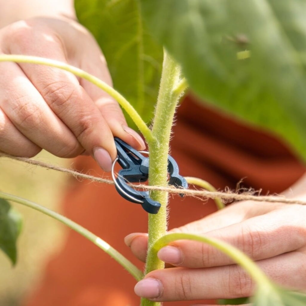 Own Grown Plant Clips - M