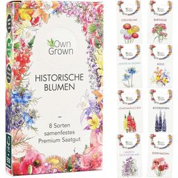 Own Grown Kit de Graines de 8 Fleurs historiques