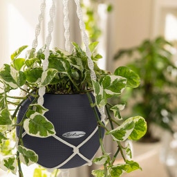 Lechuza PURO Color 20 + Macramé - Slate Grey