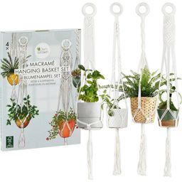 Own Grown Macramé Hanging Basket Set, 4 Pieces