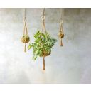 Esschert Design Suspension Plantes en Macramé - L