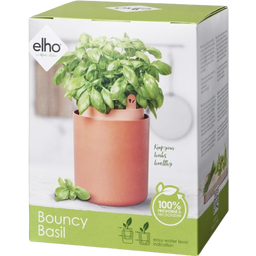 elho Bouncy Basil Herb Pot - Toffee Terra