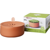 Ensemble de Germination "Magic Microgreens"
