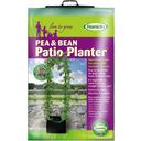 Haxnicks Pea and Bean Patio Planter - 1 pz.