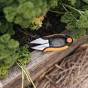 Fiskars Solid™ Herb Snip SP220 - 1 item