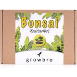 growbro Set da Coltivazione - Wisteria Bonsai