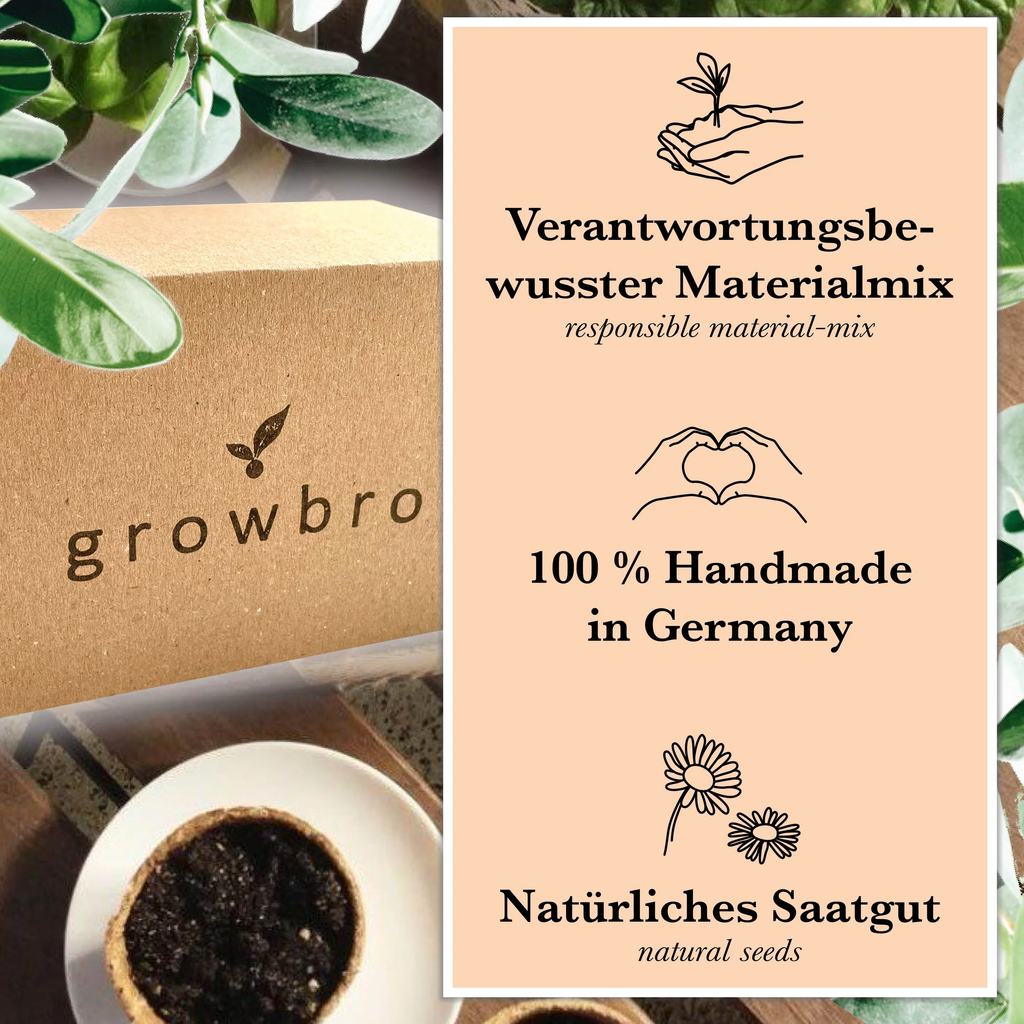 growbro Bonsai 