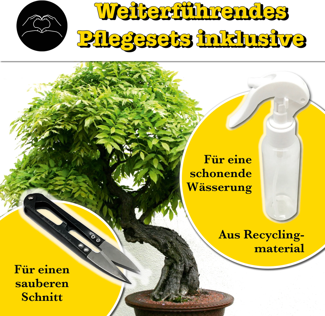 growbro Bonsai 