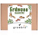 growbro Erdnuss 