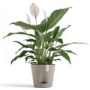 Ecopots Topf Venice 2 taupe - Ø 20 cm, Höhe 17,7 cm