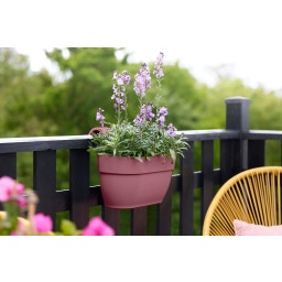 elho vibia campana easy hanger medium - puderrosa