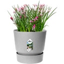 elho greenville Planter Round 20cm - Living Concrete