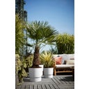 elho greenville Planter Round 30 cm - White