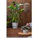 elho greenville Planter Round 40 cm - Living Concrete