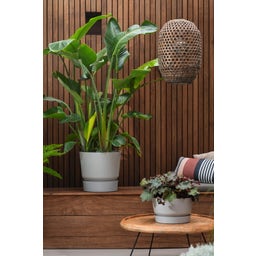 elho greenville Planter Round 40 cm - Living Concrete