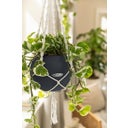 Lechuza PURO Color 20 + Macramé - Slate Grey