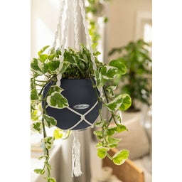 Lechuza PURO Color 20 + Macramé - Slate Grey