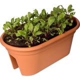 elho green basics flower bridge 55 cm
