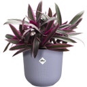 elho jazz round - 17 cm - Lavender Purple