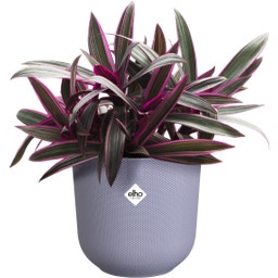 elho jazz round - 17 cm - Lavender Purple