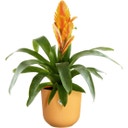 elho jazz round - 19 cm - Amber Yellow