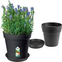 Set green basics grow pot de 17 cm, negro + saucer de 14 cm, negro - 1 set