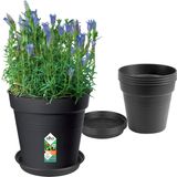 Green Basics Growpot Set, Living Black - Seed Pot 17 cm + Coaster 14 cm