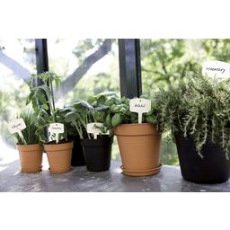 Green Basics Growpot Set, Living Black - Seed Pot 17 cm + Coaster 14 cm - 1 Set