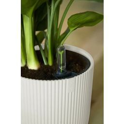 2 Piece Set - vibes fold round, Silky White, 18 cm with Self-Watering System - 1 Set