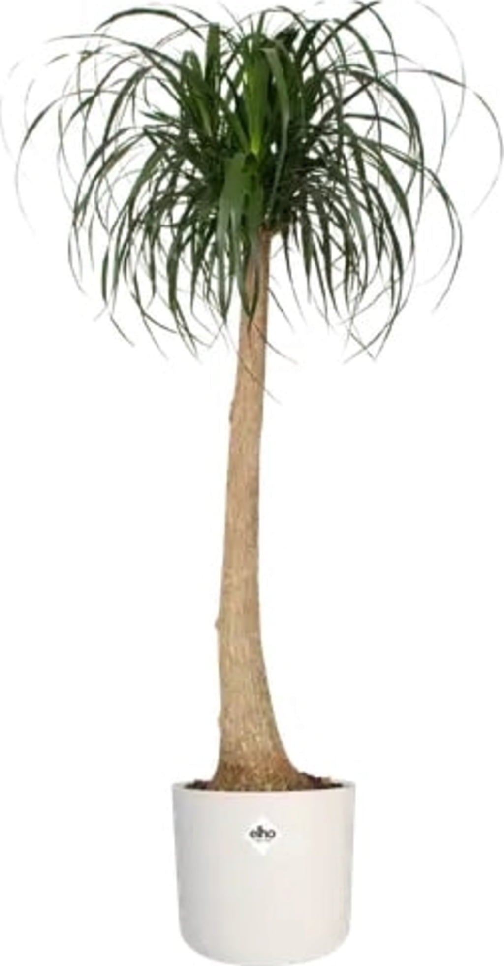 3er Set b. for soft rund Weiss, 14cm, 16cm, 18cm - 1 Set
