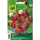 AUSTROSAAT Wild Strawberries "Rügen"