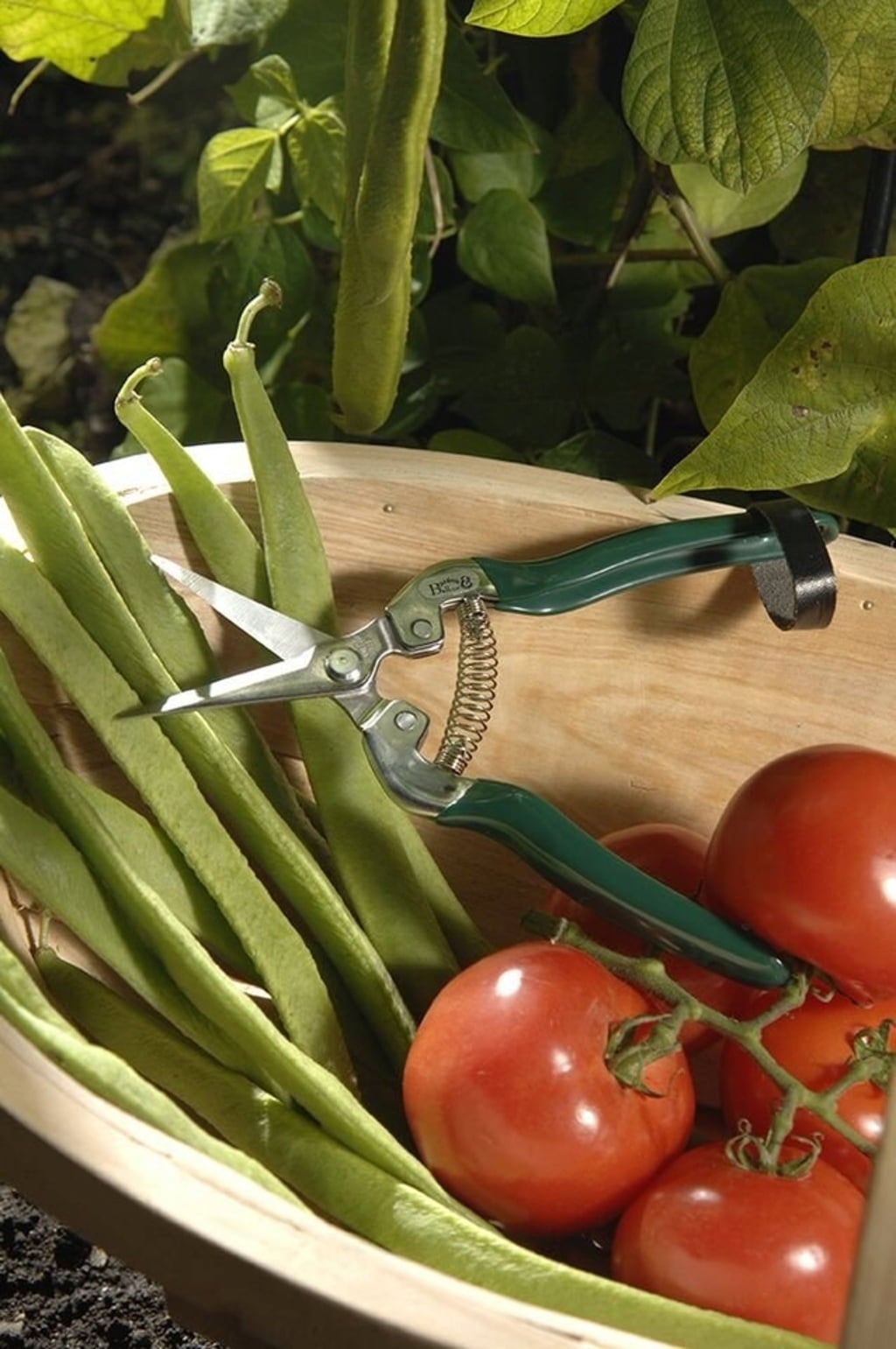 Burgon & Ball Sécateur à Fleurs et Fruits