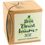 "Dein Christbaum 2031" karácsonyfa termesztő szett