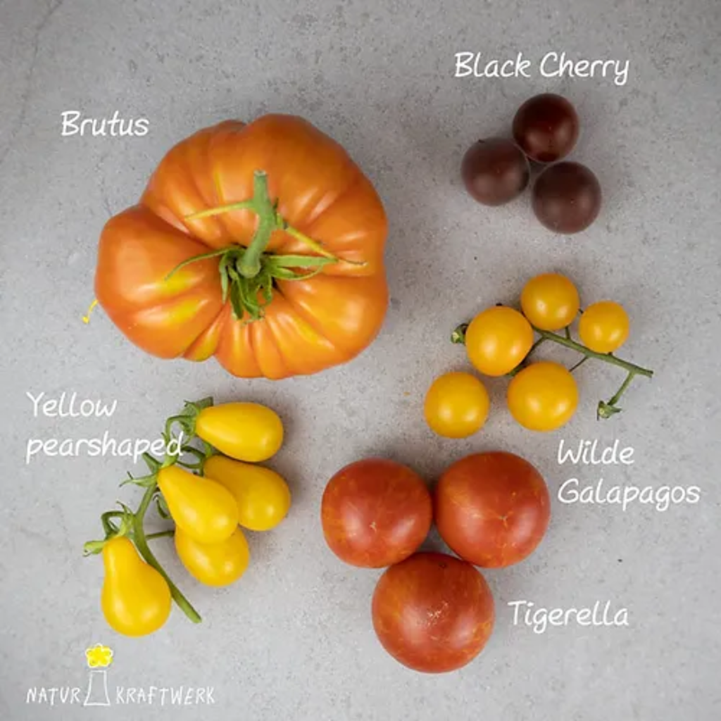 Naturkraftwerk Vegetable Seed Set - Tomato Mix - 1 item