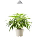 Venso CANNA SUNLiTE LED Plant Lamp 30 Watt