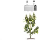 Venso LED lampa na rastliny CANNA BULB 240 W