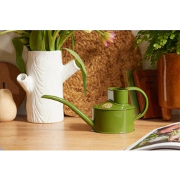 Metalen Binnengieter The Fazeley Flow, 0,5 liter - Fern Green
