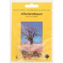 TROPICA Baobab Tree - 6 Seeds