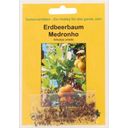 TROPICA Erdbeerbaum - 100 Korn
