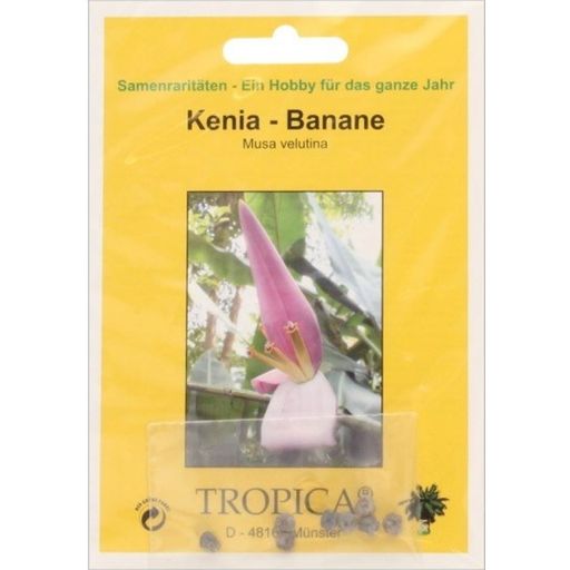 TROPICA Kenyan Banana - 8 Seeds