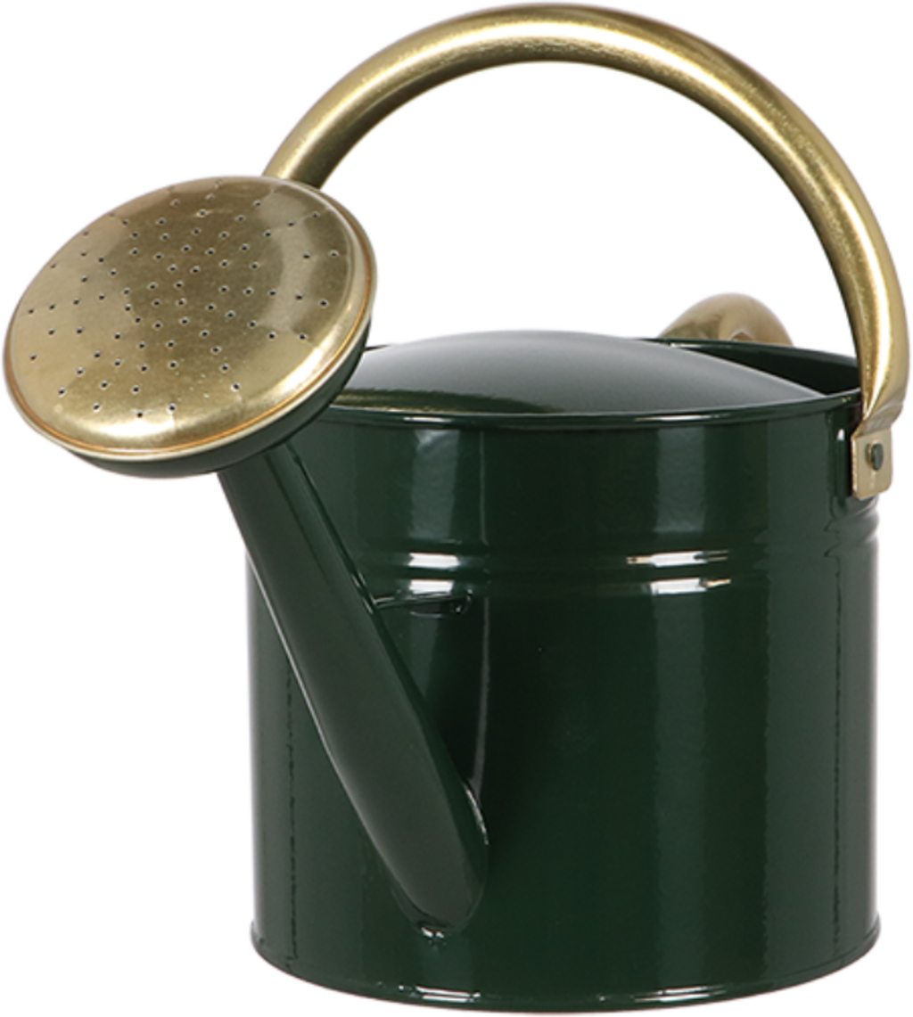 Esschert Design Watering Can with a Round Handle - S