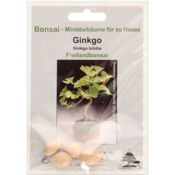 TROPICA Ginkgo - Bonsai - 4 semi