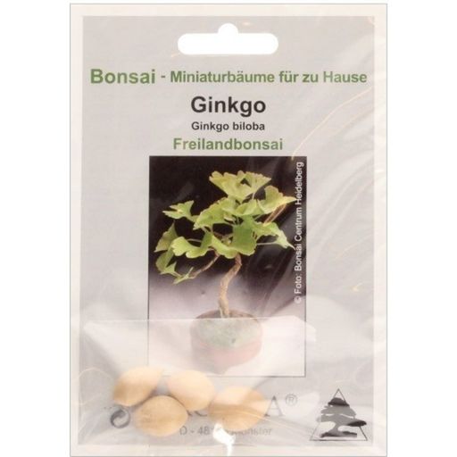 TROPICA Ginkgo - Bonsaï - 4 Graines