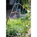 Nelson Garden Trellis Net, Jute 1.8 x 1.8 m