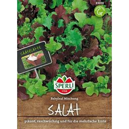 Sperli Mini-Salatmischung Babyleaf - 1 Saatscheibe