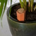 Esschert Design Irrigatore in Terracotta - 1 pz.