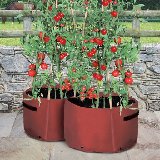 Haxnicks Tomato Patio Planters- Set of 2 - 2 items