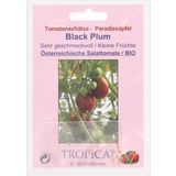 TROPICA Bio Tomate "Black Plum"