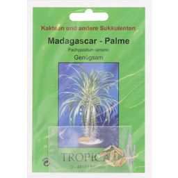 TROPICA Palmier de Madagascar - 10 Graines