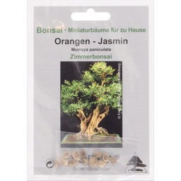 TROPICA Orangen-Jasmin - 10 Korn